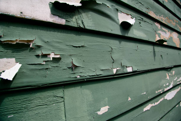 Best Demolition Debris Removal  in Pea Ridge, FL